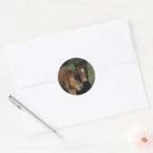 Miniatuur Foals 2 Ronde Sticker (Envelop)