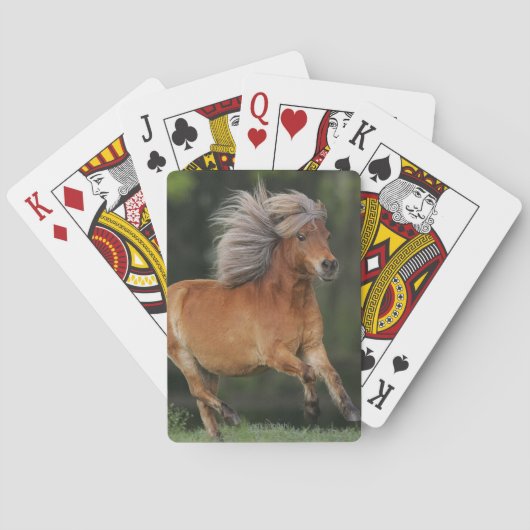 Miniatuur Horse Running Pokerkaarten (Achterkant)