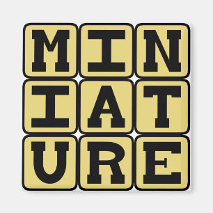 Miniatuur, Klein Verzameld Object Magneet