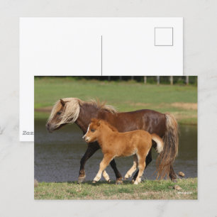 Miniatuur Mare en Foal Walking By Lake Briefkaart