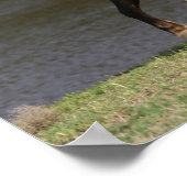 Miniatuur Mare en Foal Walking By Lake Poster (Hoek)