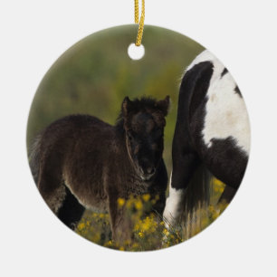 Miniatuur Mare & Foal in de bloemen Keramisch Ornament