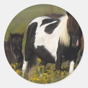 Miniatuur Mare & Foal in de bloemen Ronde Sticker
