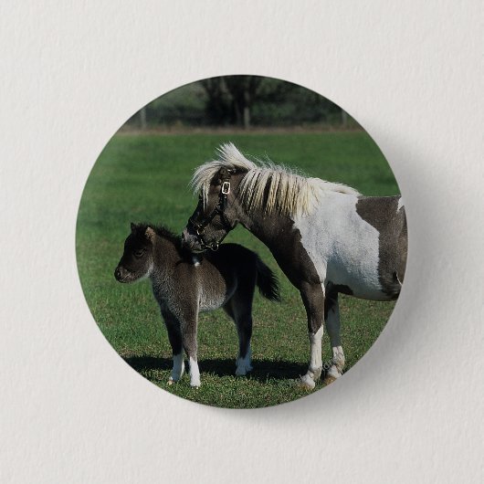 Miniatuur Mare & Foal Standing Ronde Button 5,7 Cm (Voorkant)