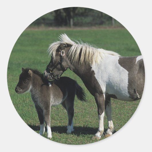 Miniatuur Mare & Foal Standing Ronde Sticker (Voorkant)