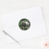 Miniatuur Mare & Foal Standing Ronde Sticker (Envelop)