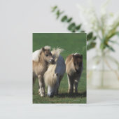 Miniatuur Mare & Foals 1 Briefkaart (Staand voorkant)