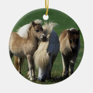 Miniatuur Mare & Foals 1 Keramisch Ornament