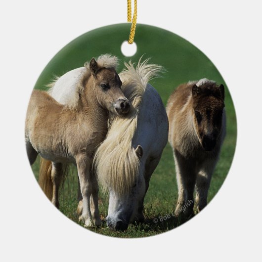 Miniatuur Mare & Foals 1 Keramisch Ornament (Voorkant)