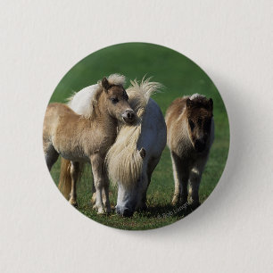Miniatuur Mare & Foals 1 Ronde Button 5,7 Cm