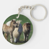Miniatuur Mare & Foals 1 Sleutelhanger (Achterkant)