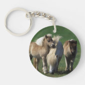 Miniatuur Mare & Foals 1 Sleutelhanger (Voorkant)