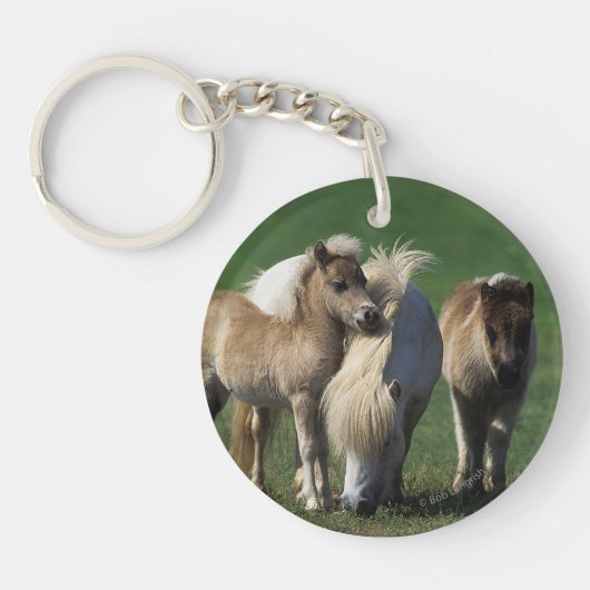 Miniatuur Mare & Foals 1 Sleutelhanger (Voorkant)