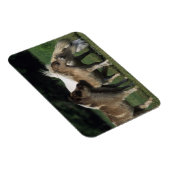 Miniatuur Mare & Foals 3 Magneet (Rechterzijde)