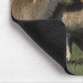 Miniatuur Mare & Foals 3 Muismat (Hoek)