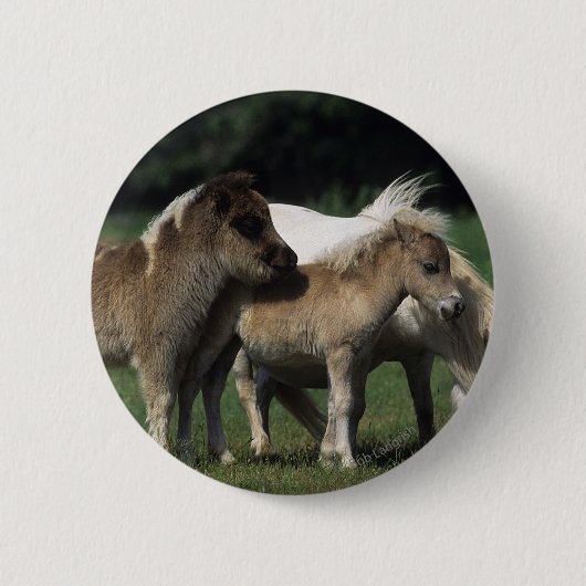 Miniatuur Mare & Foals 3 Ronde Button 5,7 Cm (Voorkant)