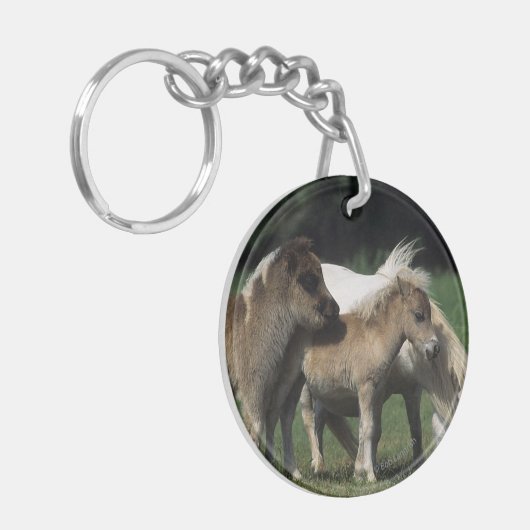 Miniatuur Mare & Foals 3 Sleutelhanger (Voorkant Links)