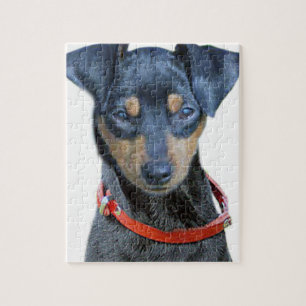 Miniatuur Pinscher Black en Brown Legpuzzel