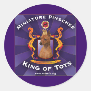Miniatuur Pinscher, koning van speelgoed Ronde Sticker