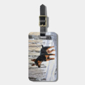 Miniatuur Pinscher Laat het Sneeuwen Kerstmis Bagagelabel (Voorkant verticaal)