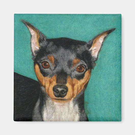 Miniatuur Pinscher Magnet Magneet (Voorkant)