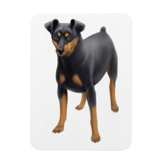Miniatuur Pinscher Min Pin Premium Magnet Magneet (Verticaal)