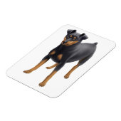 Miniatuur Pinscher Min Pin Premium Magnet Magneet (Linkerzijde)
