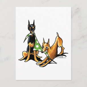 Miniatuur Pinscher n Apples Briefkaart