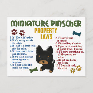 Miniatuur Pinscher Property Laws 4 Briefkaart