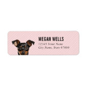 Miniatuur Pinscher Return-adreslabels Etiket (Voorkant)