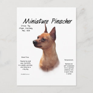 Miniatuur Pinscher (rood) Geschiedenisontwerp Briefkaart