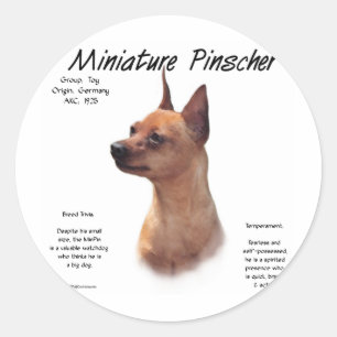 Miniatuur Pinscher (rood) Geschiedenisontwerp Ronde Sticker