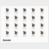 Miniatuur Pinscher Sticker (Vel)