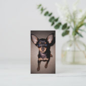 miniatuur pinscher visitekaartje (Staand voorkant)