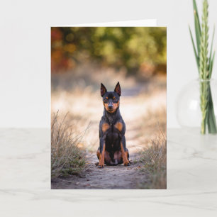 Miniatuur Pinscher Zittend Kaart