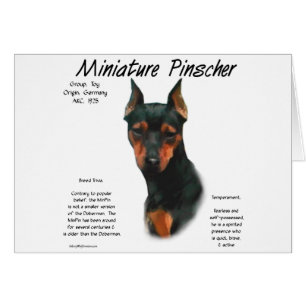 Miniatuur Pinscher (zwart/roest) Geschiedenisontwe
