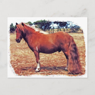 Miniatuur Pony Briefkaart