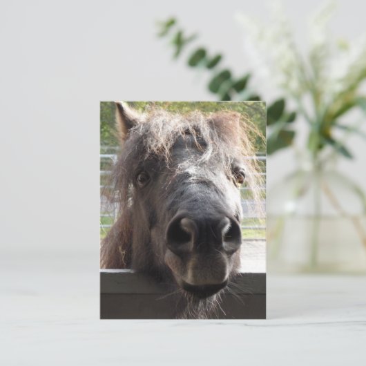 Miniatuur Pony over het Briefkaart van de Omheinin (Staand voorkant)