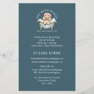 Miniatuur Poodle Hondenverzorgingsfolder - Teal Flyer