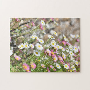 Miniatuur Roze Witte Dagen Daisy Flower Natuur Legpuzzel