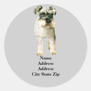 Miniatuur Schnauzer Adreslabel Ronde Sticker