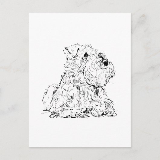 Miniatuur Schnauzer Ansichtkaart – Hondenillustrat Briefkaart (Voorkant)
