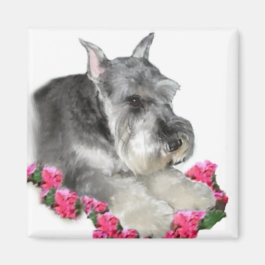 Miniatuur Schnauzer Art Gifts Magneet (Voorkant)