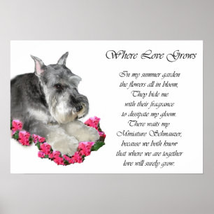Miniatuur Schnauzer Art Print
