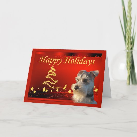 Miniatuur Schnauzer Christmas Kaart Stars (Voorkant)