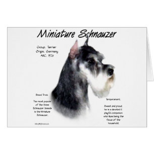 Miniatuur Schnauzer Geschiedenisontwerp