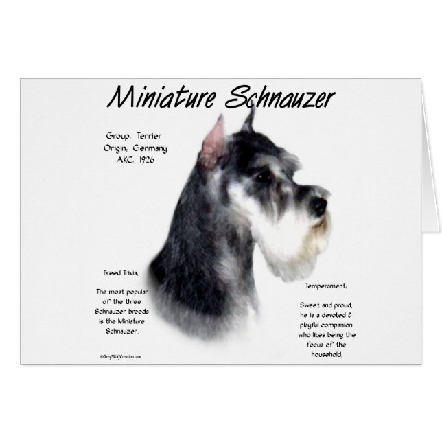 Miniatuur Schnauzer Geschiedenisontwerp (Voorkant Horizontaal)