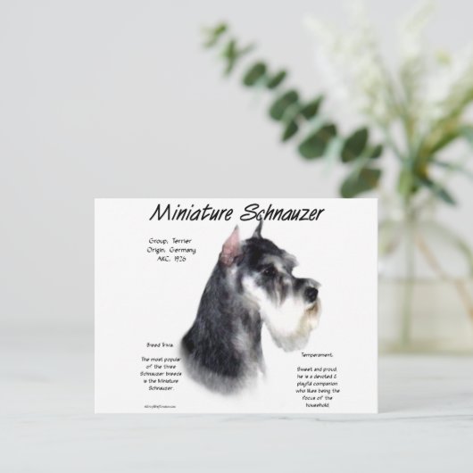 Miniatuur Schnauzer Geschiedenisontwerp Briefkaart (Staand voorkant)
