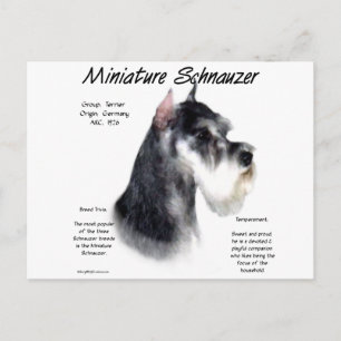 Miniatuur Schnauzer Geschiedenisontwerp Briefkaart