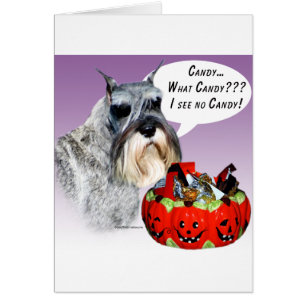 Miniatuur Schnauzer Halloween Snoep